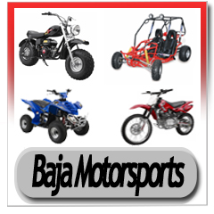 Baja dn 250 sales go kart parts